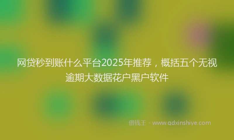 网贷秒到账什么平台2025年推荐，概括五个无视逾期大数据花户黑户软件