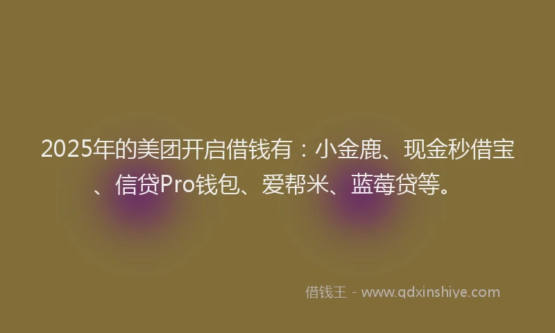 2025年的美团开启借钱有：小金鹿、现金秒借宝、信贷Pro钱包、爱帮米、蓝莓贷等。