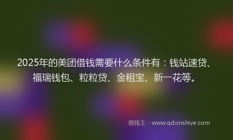 2025年的美团借钱需要什么条件有：钱站速贷、福瑞钱包、粒粒贷、金租宝、新一花等。