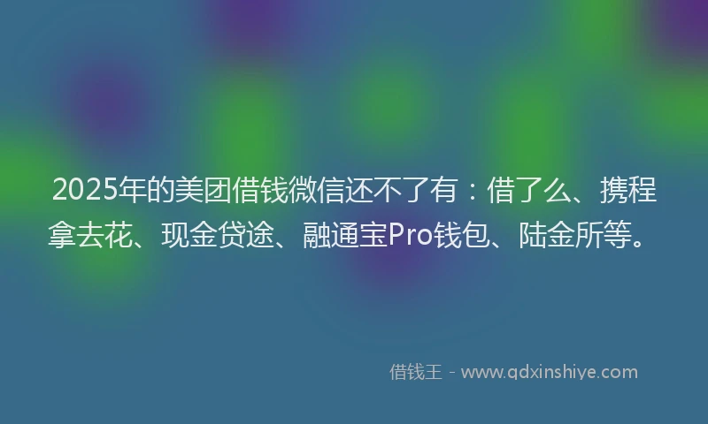2025年的美团借钱微信还不了有：借了么、携程拿去花、现金贷途、融通宝Pro钱包、陆金所等。
