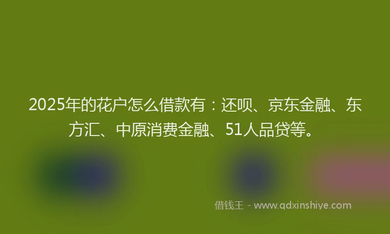 2025年的花户怎么借款有：还呗、京东金融、东方汇、中原消费金融、51人品贷等。