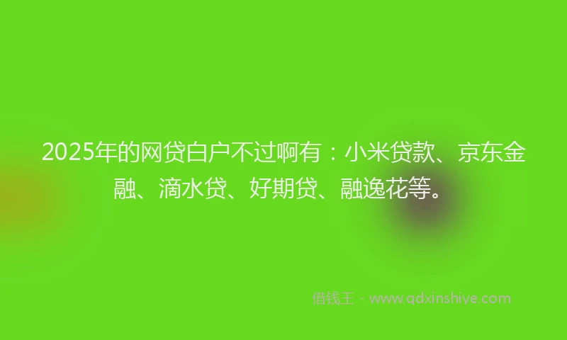 2025年的网贷白户不过啊有：小米贷款、京东金融、滴水贷、好期贷、融逸花等。