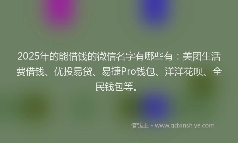 2025年的能借钱的微信名字有哪些有：美团生活费借钱、优投易贷、易捷Pro钱包、洋洋花呗、全民钱包等。
