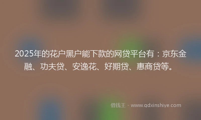 2025年的花户黑户能下款的网贷平台有：京东金融、功夫贷、安逸花、好期贷、惠商贷等。