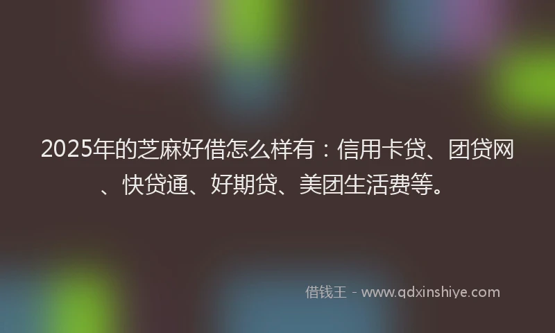 2025年的芝麻好借怎么样有：信用卡贷、团贷网、快贷通、好期贷、美团生活费等。