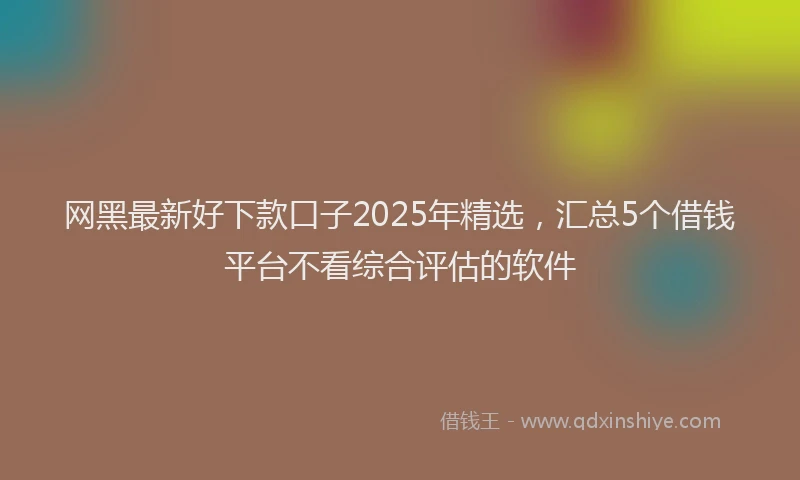 网黑最新好下款口子2025年精选，汇总5个借钱平台不看综合评估的软件