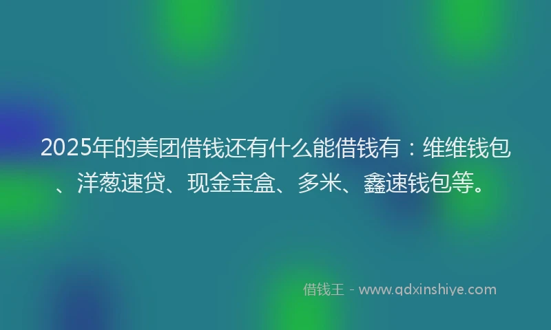 2025年的美团借钱还有什么能借钱有：维维钱包、洋葱速贷、现金宝盒、多米、鑫速钱包等。