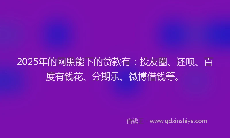2025年的网黑能下的贷款有：投友圈、还呗、百度有钱花、分期乐、微博借钱等。