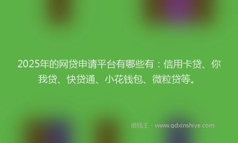 2025年的网贷申请平台有哪些有：信用卡贷、你我贷、快贷通、小花钱包、微粒贷等。