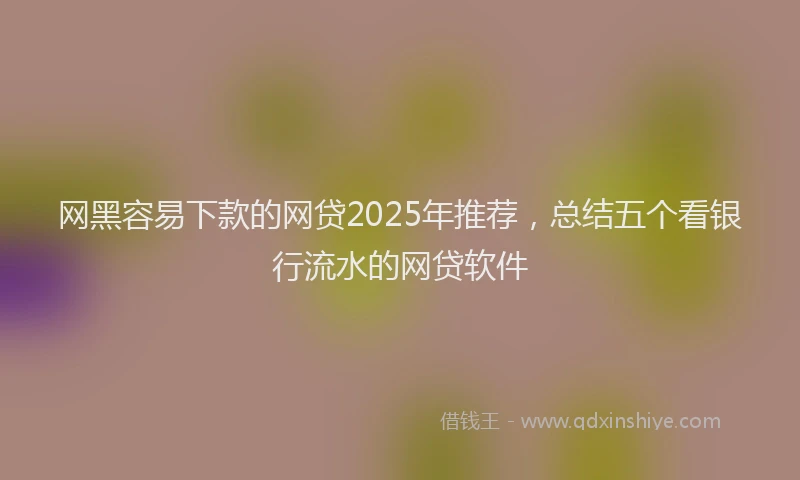 网黑容易下款的网贷2025年推荐，总结五个看银行流水的网贷软件