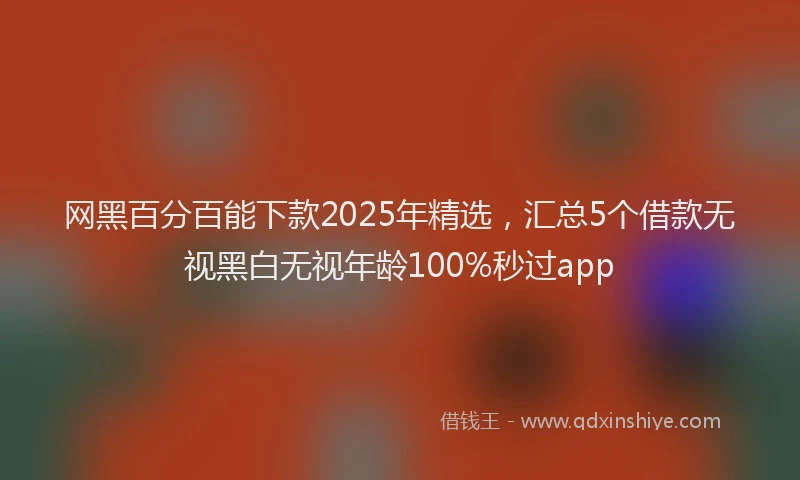 网黑百分百能下款2025年精选，汇总5个借款无视黑白无视年龄100%秒过app