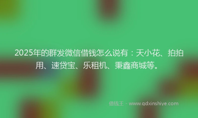 2025年的群发微信借钱怎么说有：天小花、拍拍用、速贷宝、乐租机、秉鑫商城等。
