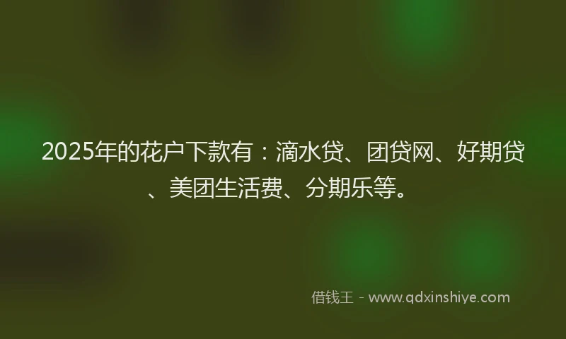 2025年的花户下款有：滴水贷、团贷网、好期贷、美团生活费、分期乐等。