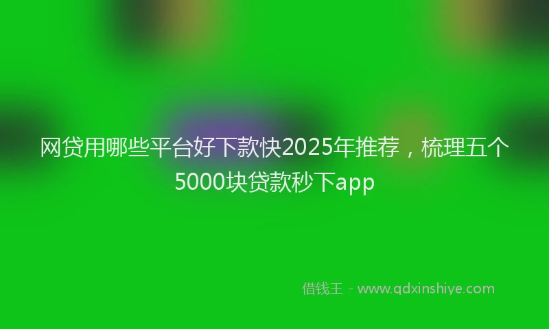 网贷用哪些平台好下款快2025年推荐，梳理五个5000块贷款秒下app