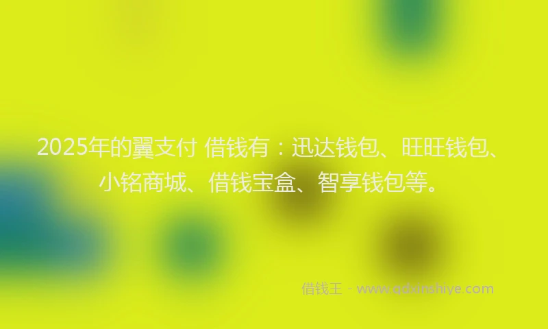 2025年的翼支付 借钱有：迅达钱包、旺旺钱包、小铭商城、借钱宝盒、智享钱包等。