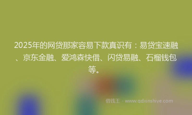 2025年的网贷那家容易下款真识有：易贷宝速融、京东金融、爱鸿森快借、闪贷易融、石榴钱包等。