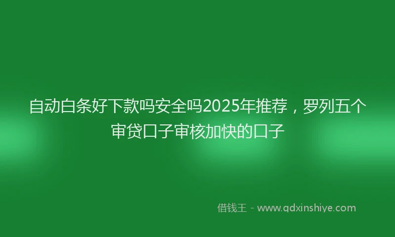 自动白条好下款吗安全吗2025年推荐，罗列五个审贷口子审核加快的口子