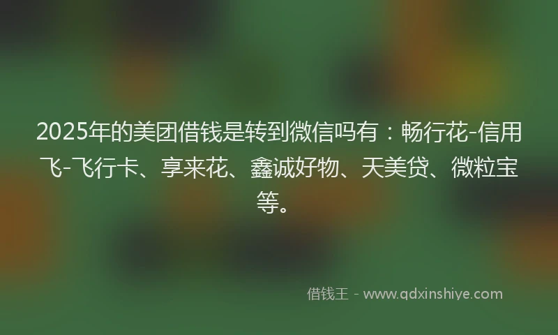 2025年的美团借钱是转到微信吗有：畅行花-信用飞-飞行卡、享来花、鑫诚好物、天美贷、微粒宝等。
