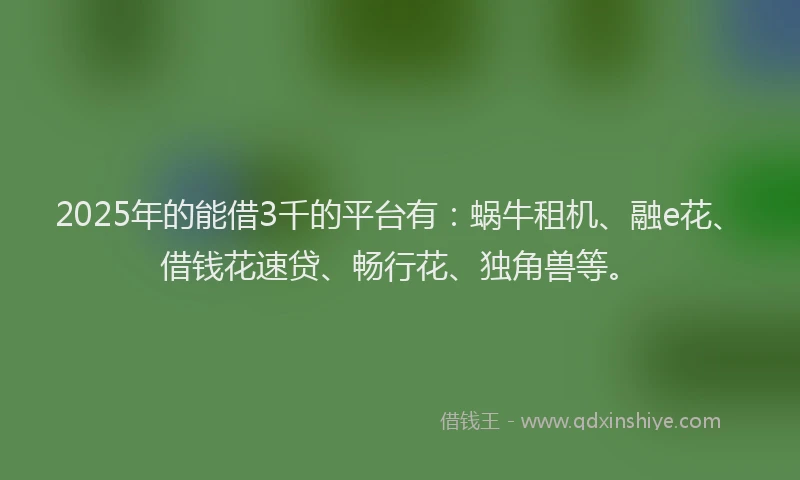 2025年的能借3千的平台有：蜗牛租机、融e花、借钱花速贷、畅行花、独角兽等。