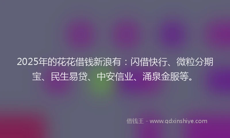 2025年的花花借钱新浪有：闪借快行、微粒分期宝、民生易贷、中安信业、涌泉金服等。