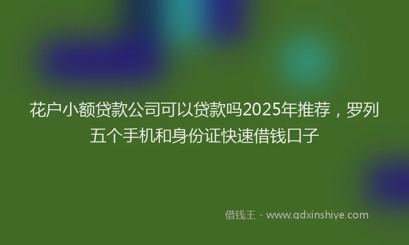 花户小额贷款公司可以贷款吗2025年推荐，罗列五个手机和身份证快速借钱口子