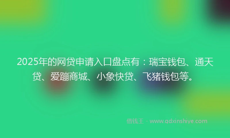 2025年的网贷申请入口盘点有：瑞宝钱包、通天贷、爱蹦商城、小象快贷、飞猪钱包等。