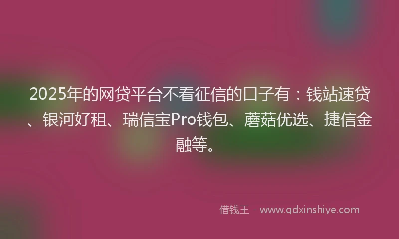 2025年的网贷平台不看征信的口子有：钱站速贷、银河好租、瑞信宝Pro钱包、蘑菇优选、捷信金融等。