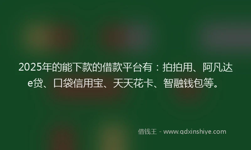2025年的能下款的借款平台有：拍拍用、阿凡达e贷、口袋信用宝、天天花卡、智融钱包等。