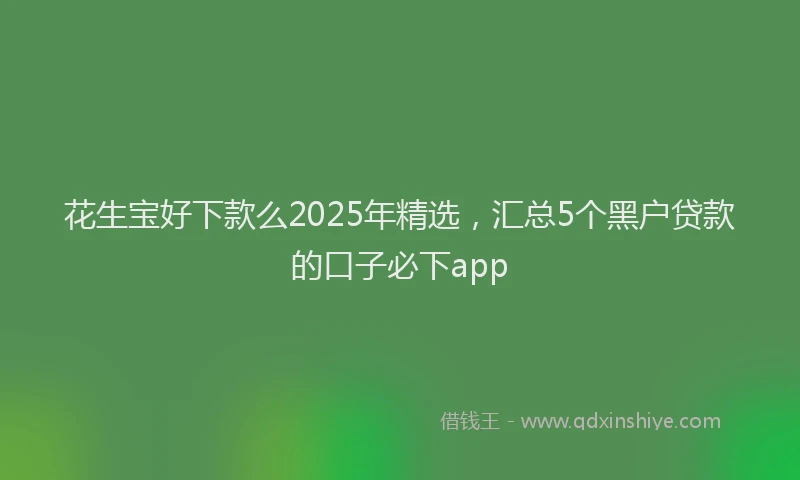 花生宝好下款么2025年精选，汇总5个黑户贷款的口子必下app