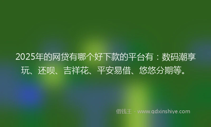 2025年的网贷有哪个好下款的平台有：数码潮享玩、还呗、吉祥花、平安易借、悠悠分期等。