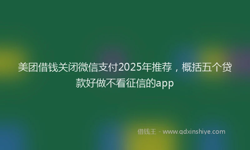 美团借钱关闭微信支付2025年推荐，概括五个贷款好做不看征信的app
