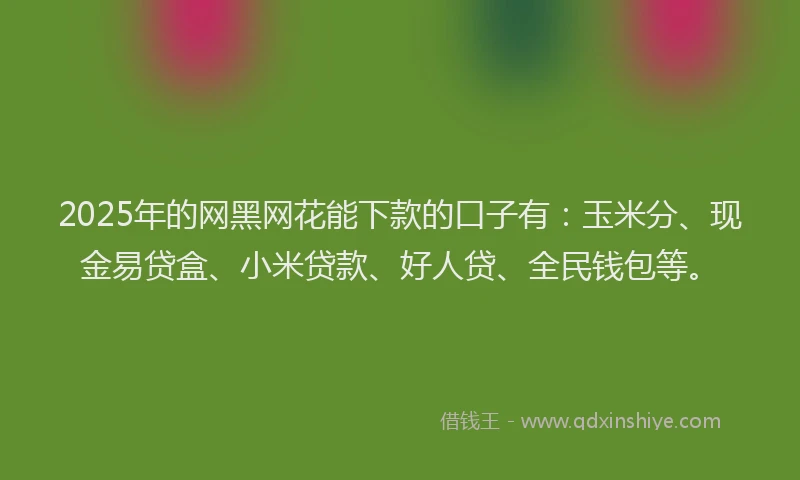 2025年的网黑网花能下款的口子有：玉米分、现金易贷盒、小米贷款、好人贷、全民钱包等。