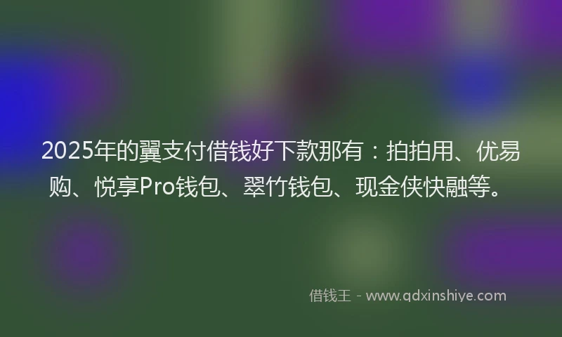 2025年的翼支付借钱好下款那有：拍拍用、优易购、悦享Pro钱包、翠竹钱包、现金侠快融等。