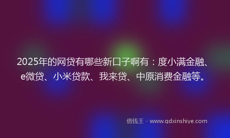 2025年的网贷有哪些新口子啊有：度小满金融、e微贷、小米贷款、我来贷、中原消费金融等。