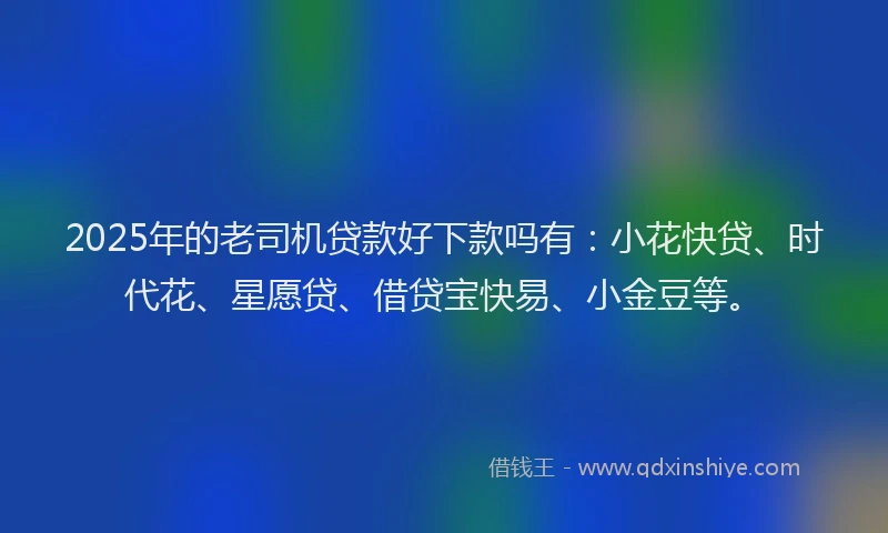 2025年的老司机贷款好下款吗有：小花快贷、时代花、星愿贷、借贷宝快易、小金豆等。