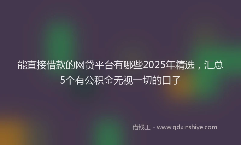 能直接借款的网贷平台有哪些2025年精选，汇总5个有公积金无视一切的口子