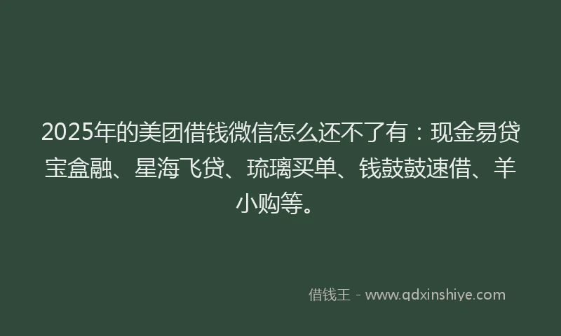 2025年的美团借钱微信怎么还不了有：现金易贷宝盒融、星海飞贷、琉璃买单、钱鼓鼓速借、羊小购等。