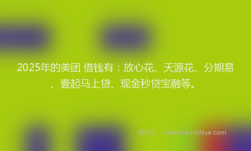 2025年的美团 借钱有：放心花、天源花、分期易、壹起马上贷、现金秒贷宝融等。