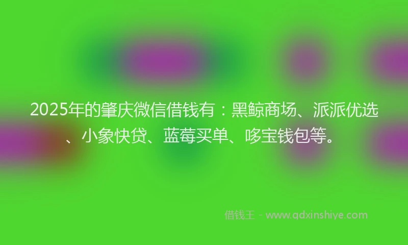 2025年的肇庆微信借钱有：黑鲸商场、派派优选、小象快贷、蓝莓买单、哆宝钱包等。
