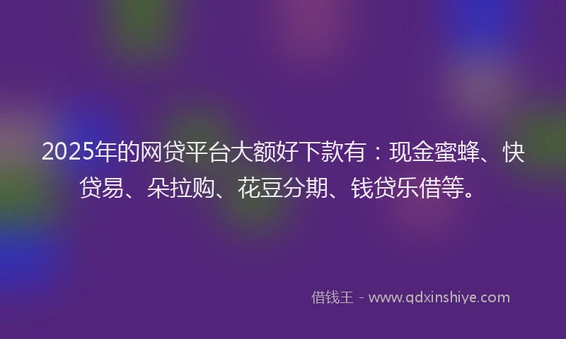 2025年的网贷平台大额好下款有：现金蜜蜂、快贷易、朵拉购、花豆分期、钱贷乐借等。