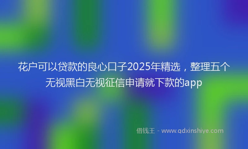 花户可以贷款的良心口子2025年精选，整理五个无视黑白无视征信申请就下款的app