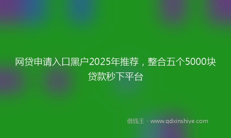 网贷申请入口黑户2025年推荐，整合五个5000块贷款秒下平台