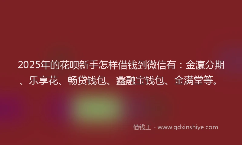 2025年的花呗新手怎样借钱到微信有：金瀛分期、乐享花、畅贷钱包、鑫融宝钱包、金满堂等。