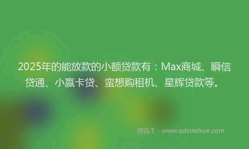 2025年的能放款的小额贷款有：Max商城、瞬信贷通、小赢卡贷、蛮想购租机、星辉贷款等。