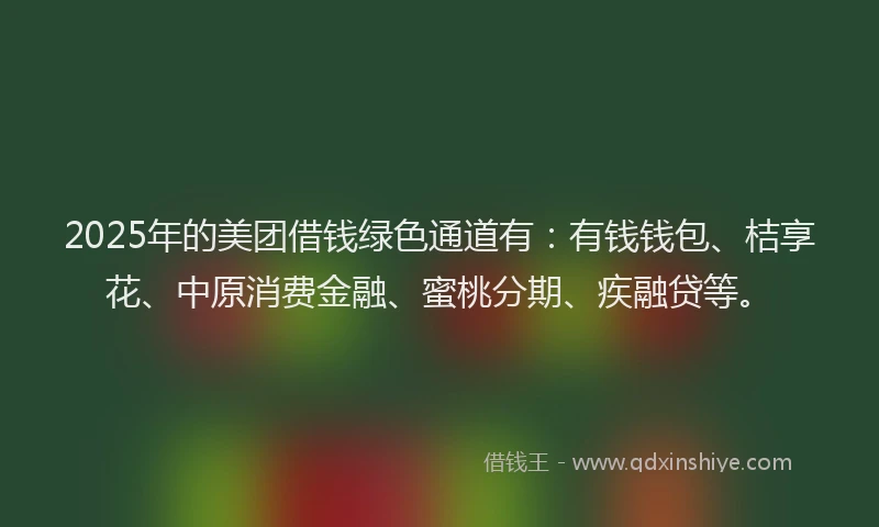 2025年的美团借钱绿色通道有：有钱钱包、桔享花、中原消费金融、蜜桃分期、疾融贷等。
