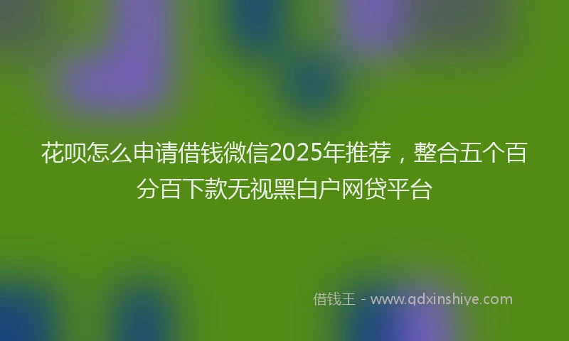 花呗怎么申请借钱微信2025年推荐，整合五个百分百下款无视黑白户网贷平台