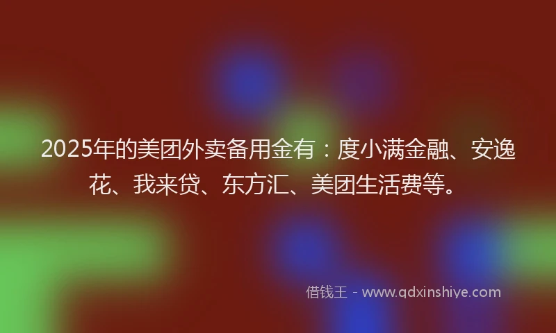 2025年的美团外卖备用金有：度小满金融、安逸花、我来贷、东方汇、美团生活费等。