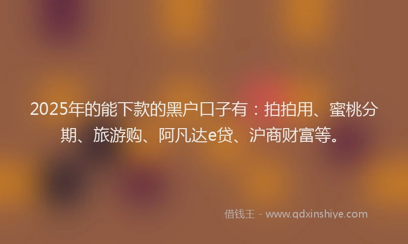 2025年的能下款的黑户口子有：拍拍用、蜜桃分期、旅游购、阿凡达e贷、沪商财富等。