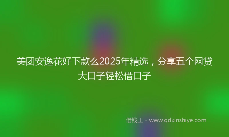 美团安逸花好下款么2025年精选，分享五个网贷大口子轻松借口子