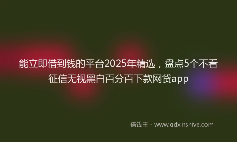 能立即借到钱的平台2025年精选，盘点5个不看征信无视黑白百分百下款网贷app
